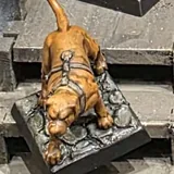 A warhound in harness
